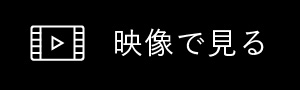 映像で見る